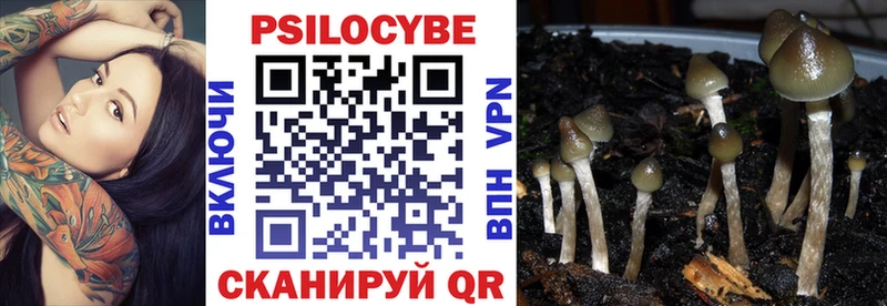 Псилоцибиновые грибы Psilocybine cubensis  Каспийск 