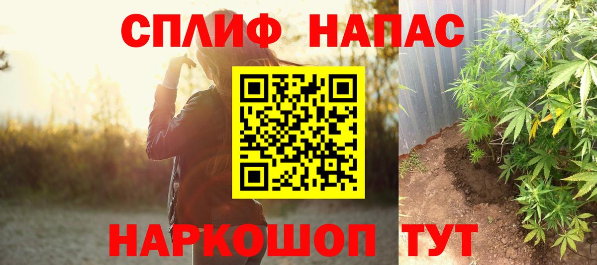 Марихуана семена Каспийск